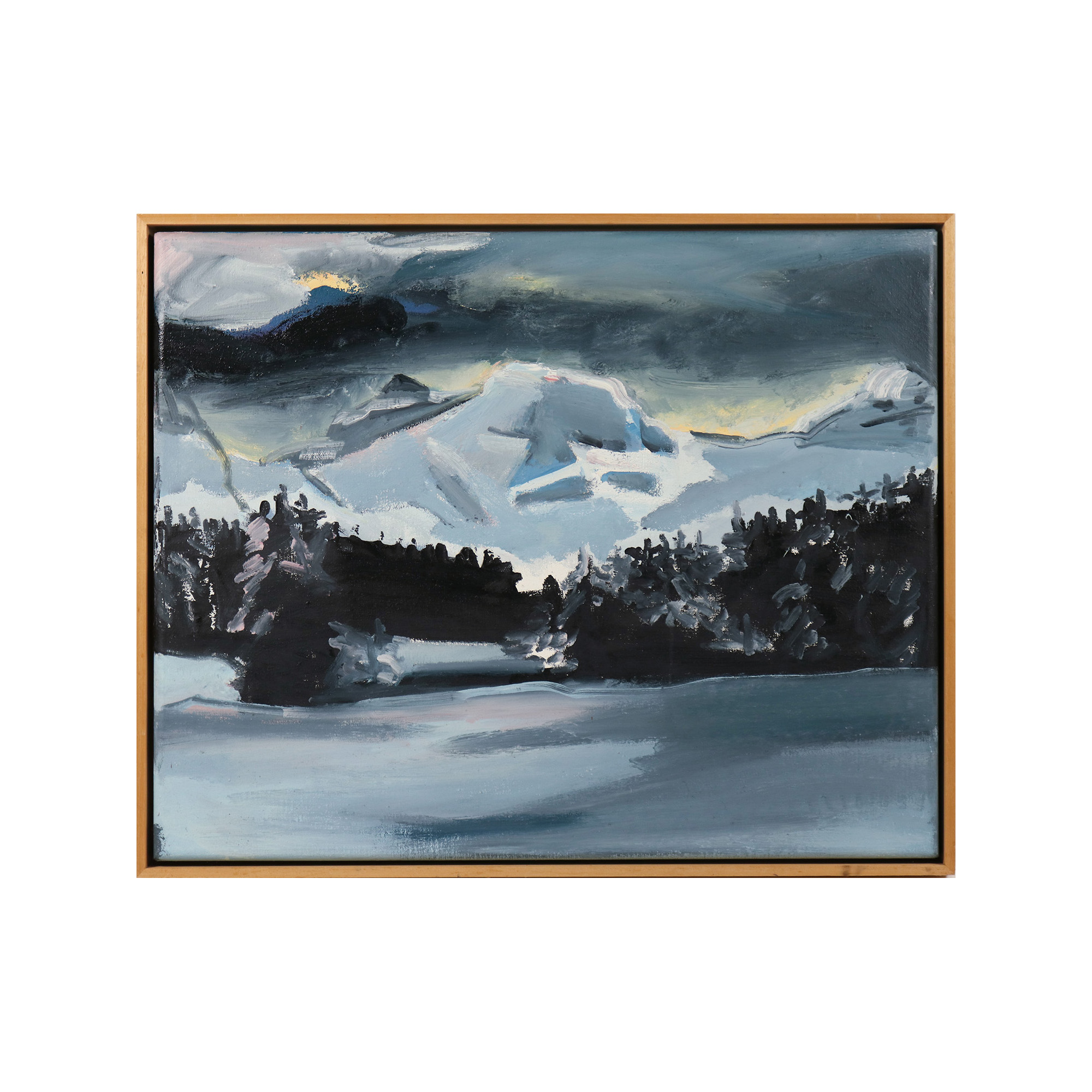 Winterlandschaft (Schnee)