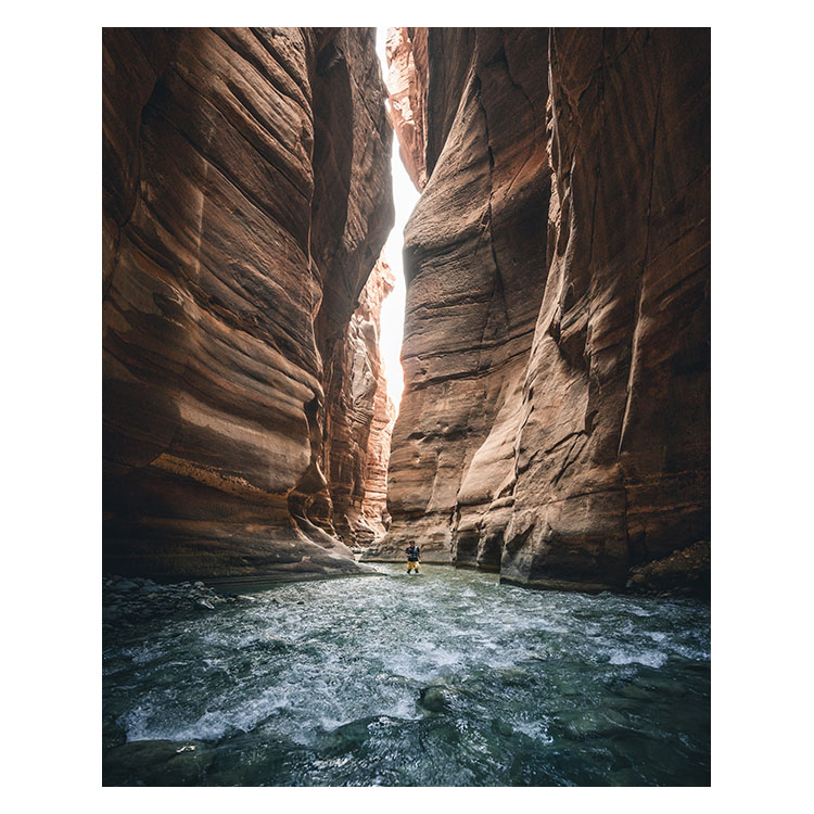 Instagram feed 