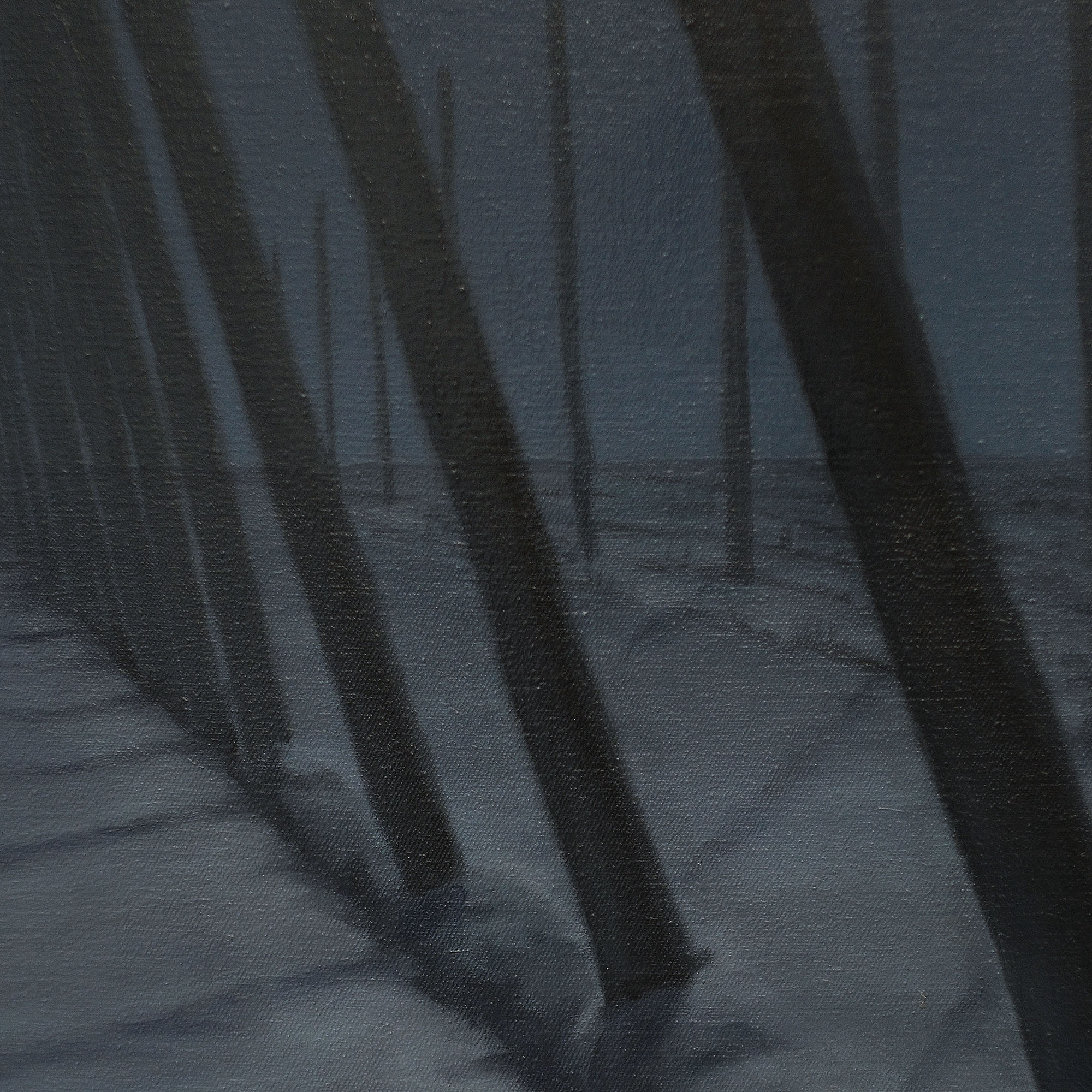 Hopfenfeld from the series: Jahreszyklus