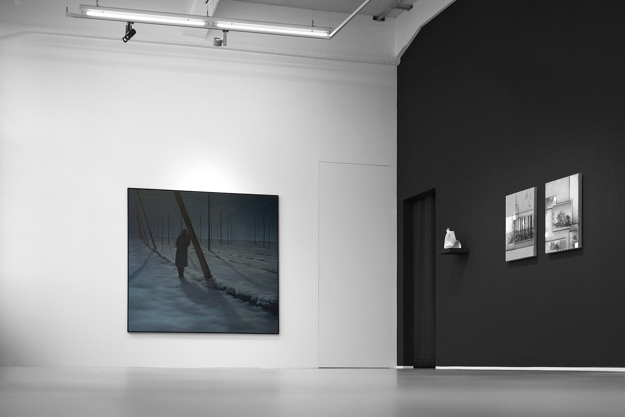 Hopfenfeld from the series: Jahreszyklus