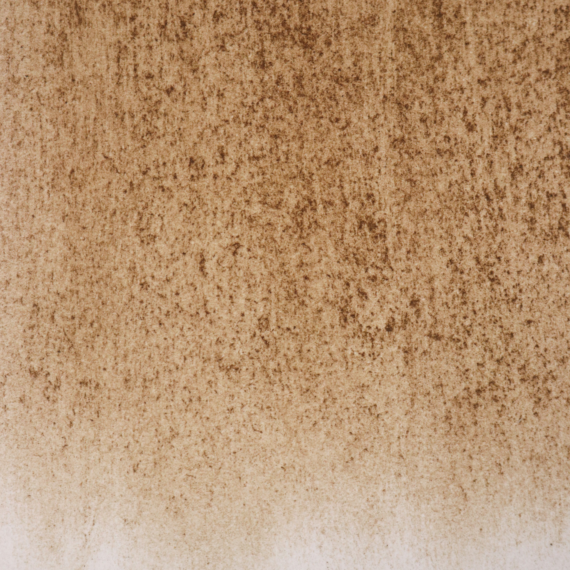 from earth: kunsthalle ziegelhütte appenzell appenzell inn.