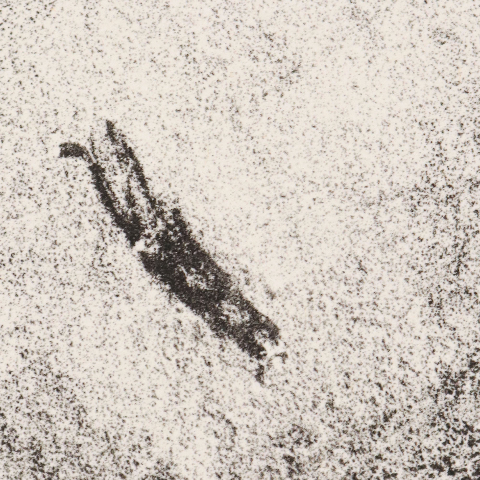 Small head of Christ (Christ with crown of thorns)