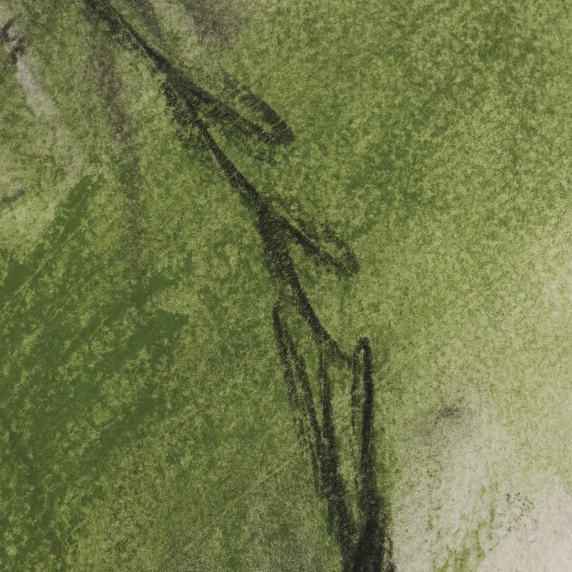 SCREAM
