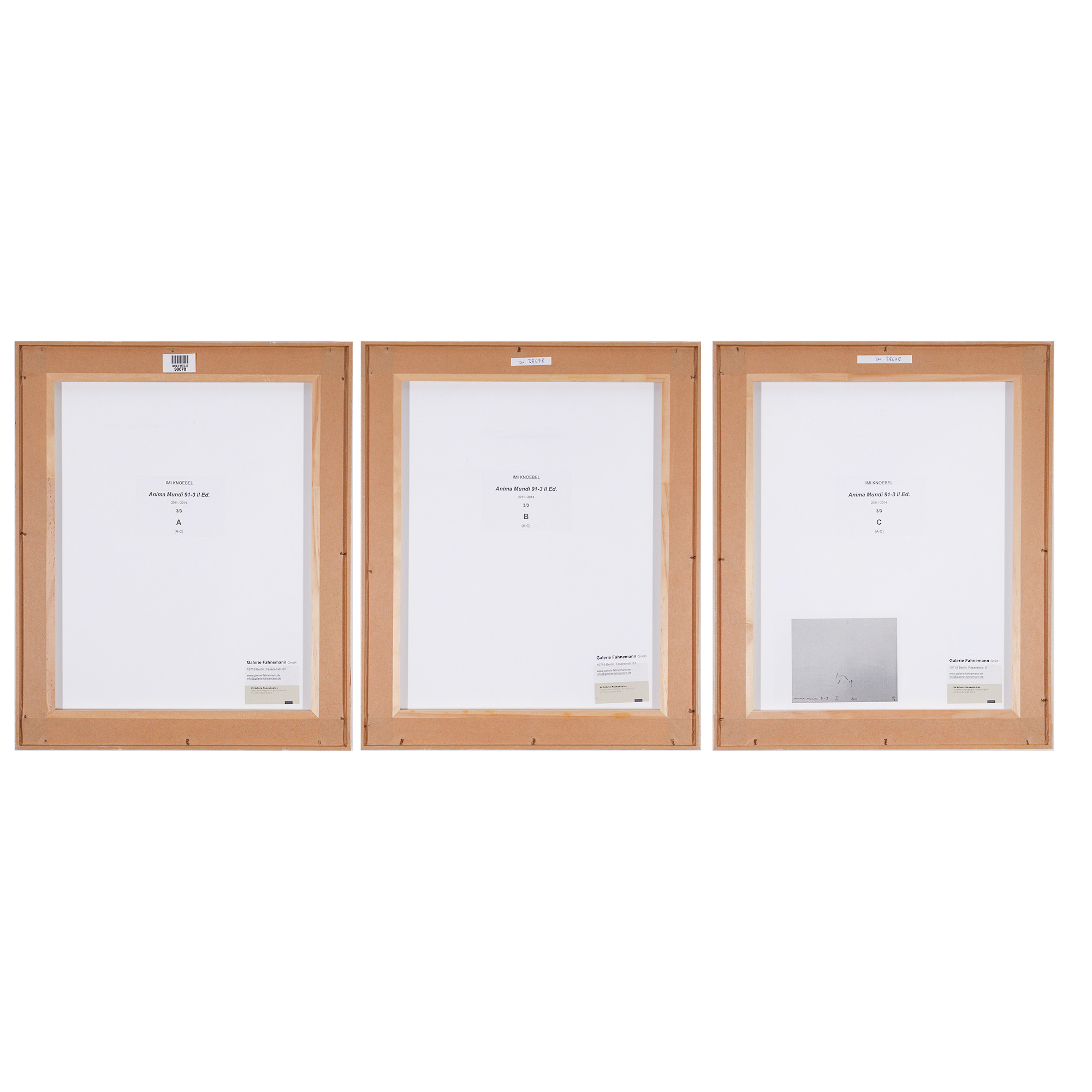 Anima Mundi 91-3 II Ed.