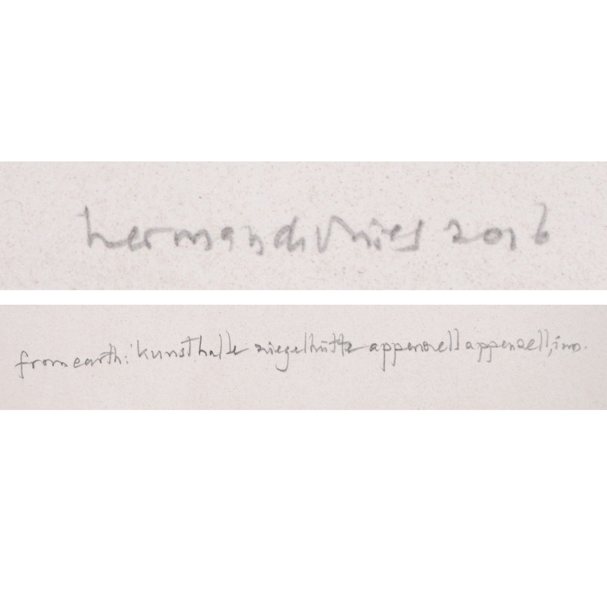 from earth: kunsthalle ziegelhütte appenzell appenzell inn.