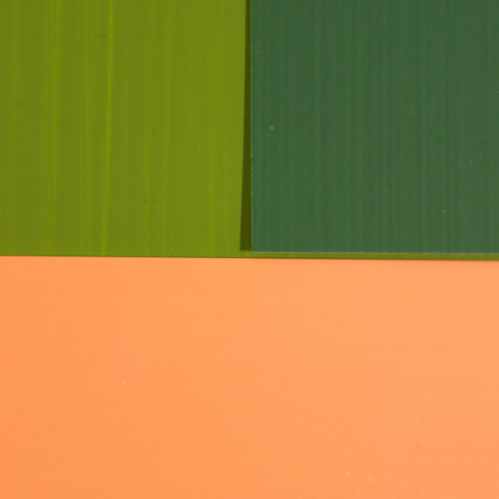 Anima Mundi 91-3 II Ed.