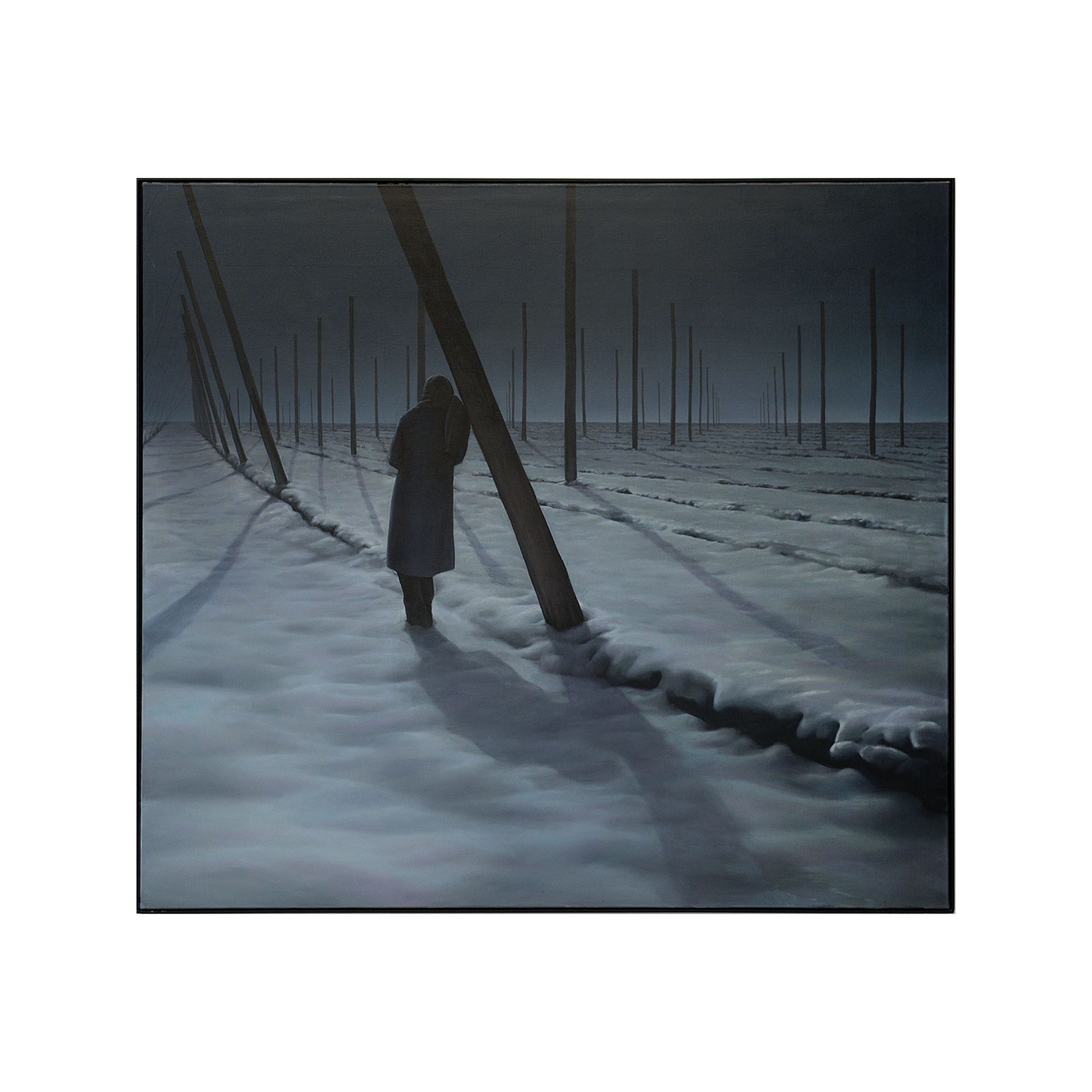 Hopfenfeld from the series: Jahreszyklus