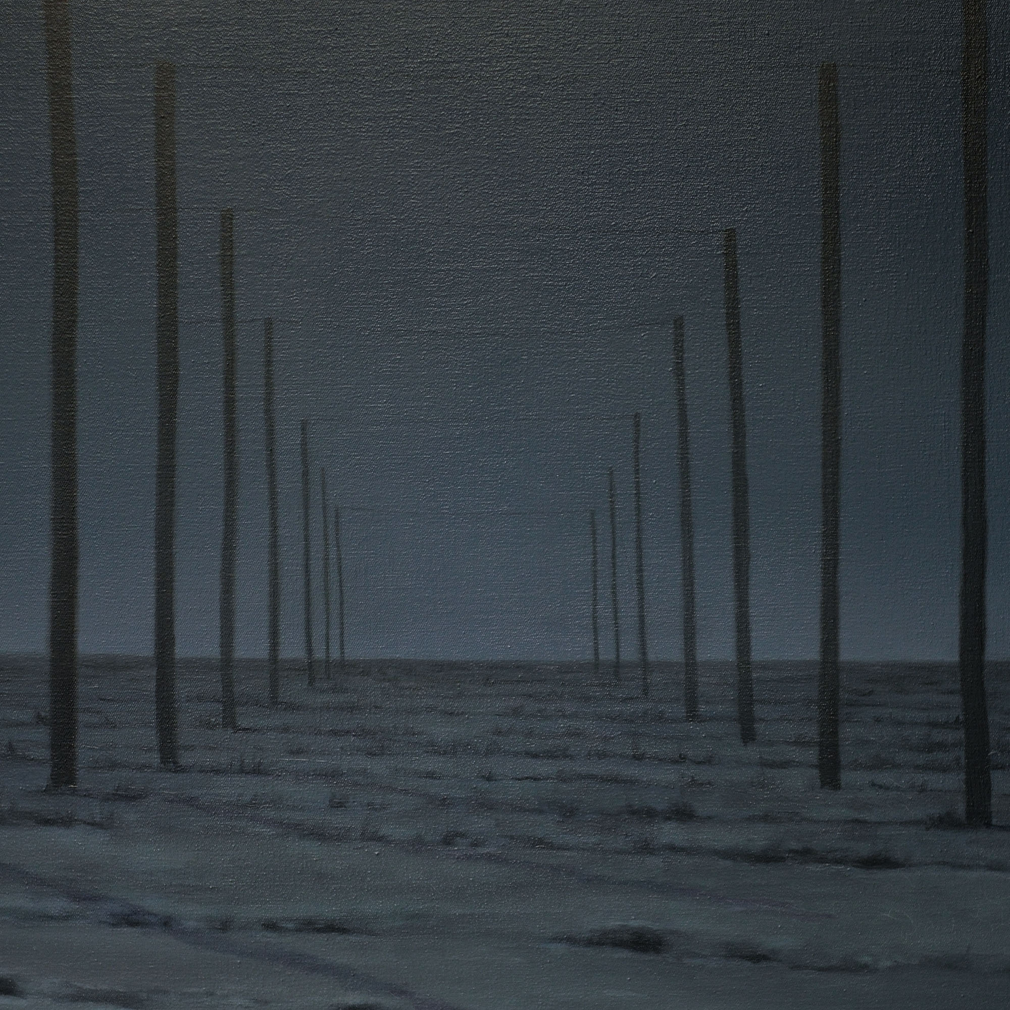 Hopfenfeld from the series: Jahreszyklus