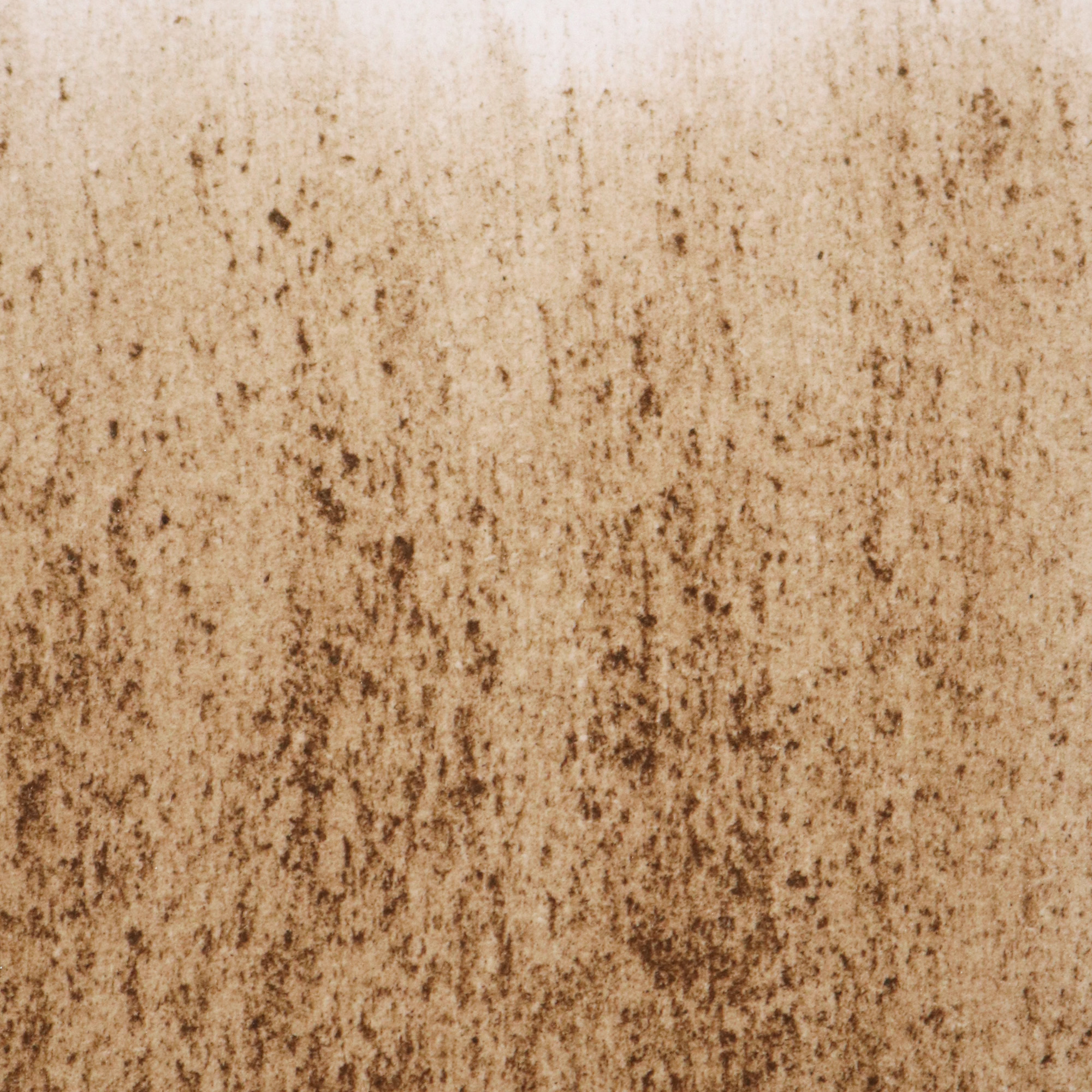 from earth: kunsthalle ziegelhütte appenzell appenzell inn.