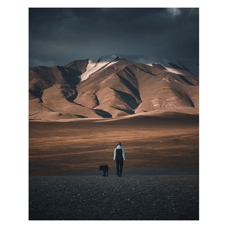 Instagram feed 