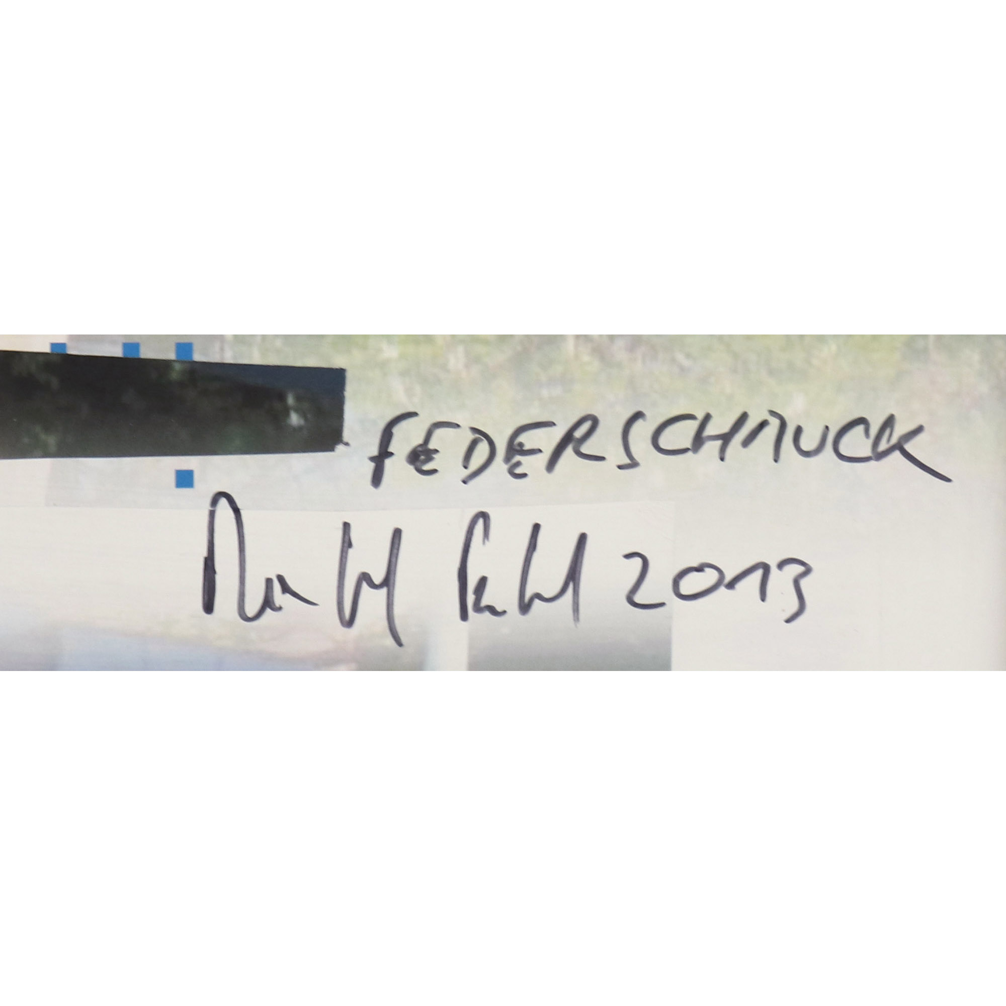 Federschmuck